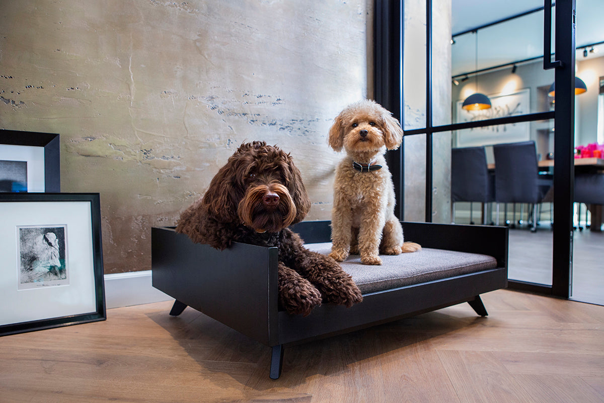 Designer dog beds, LV dog beds